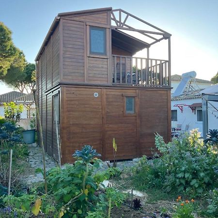 奇克拉纳－德拉弗龙特拉Casa De Madera De Sancti Petri别墅 外观 照片