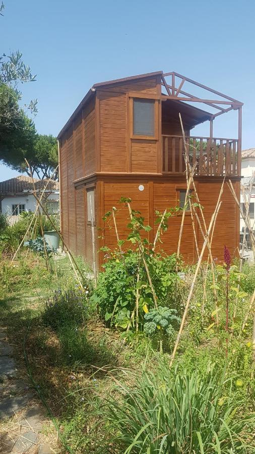 奇克拉纳－德拉弗龙特拉Casa De Madera De Sancti Petri别墅 外观 照片